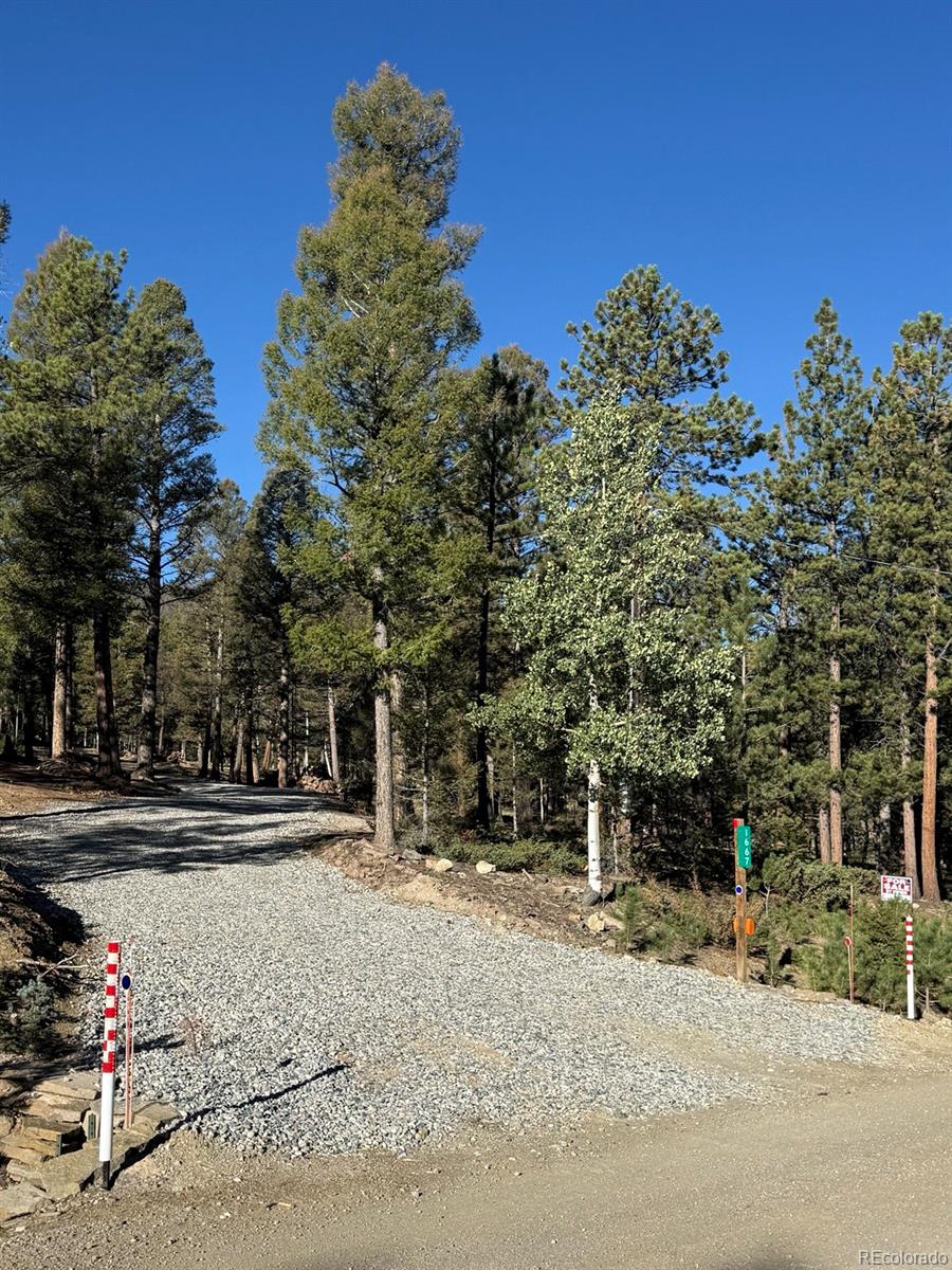 1667 Singletree Rd, Hartsel, CO 80449