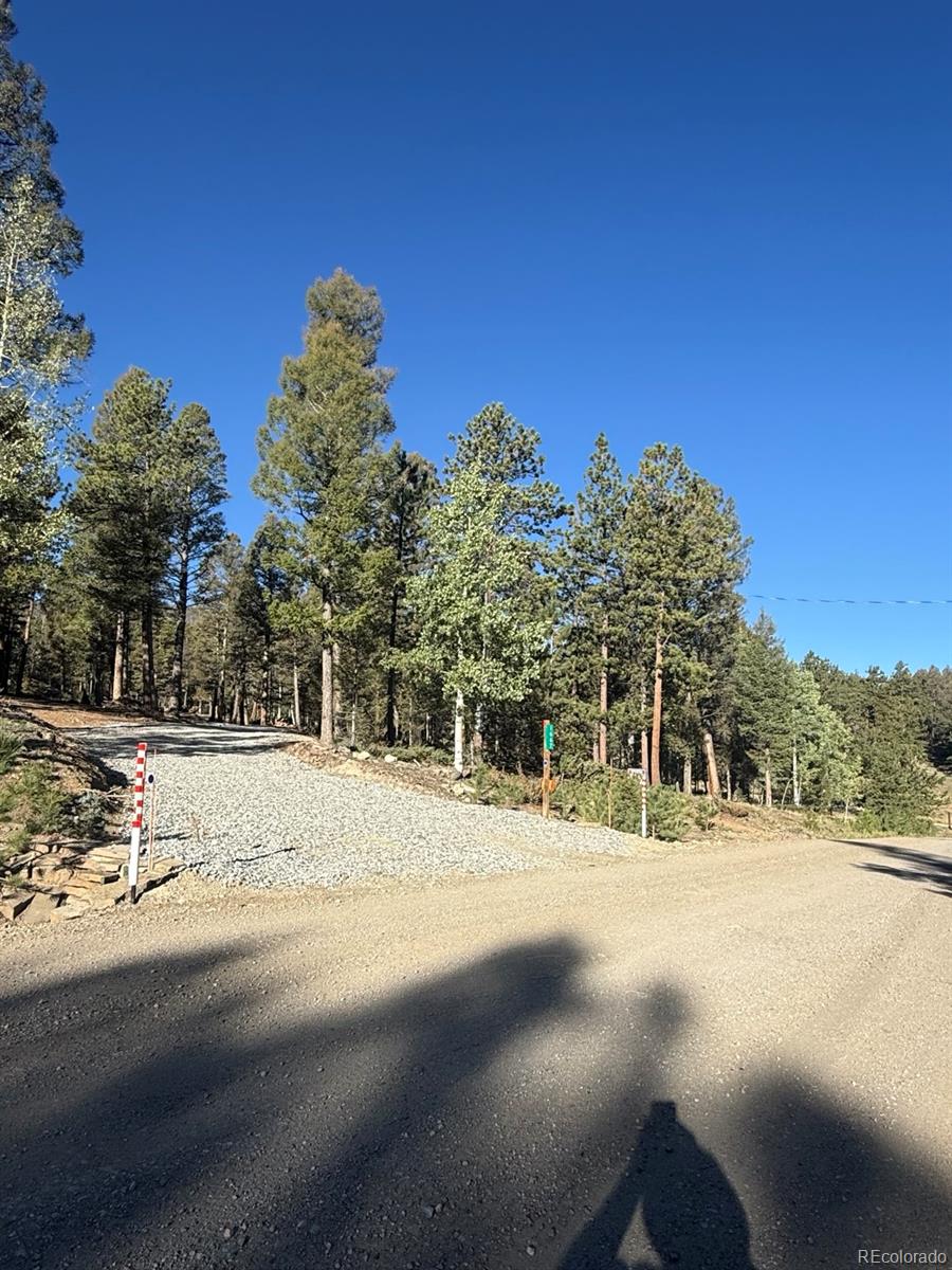 1667 Singletree Rd, Hartsel, CO 80449