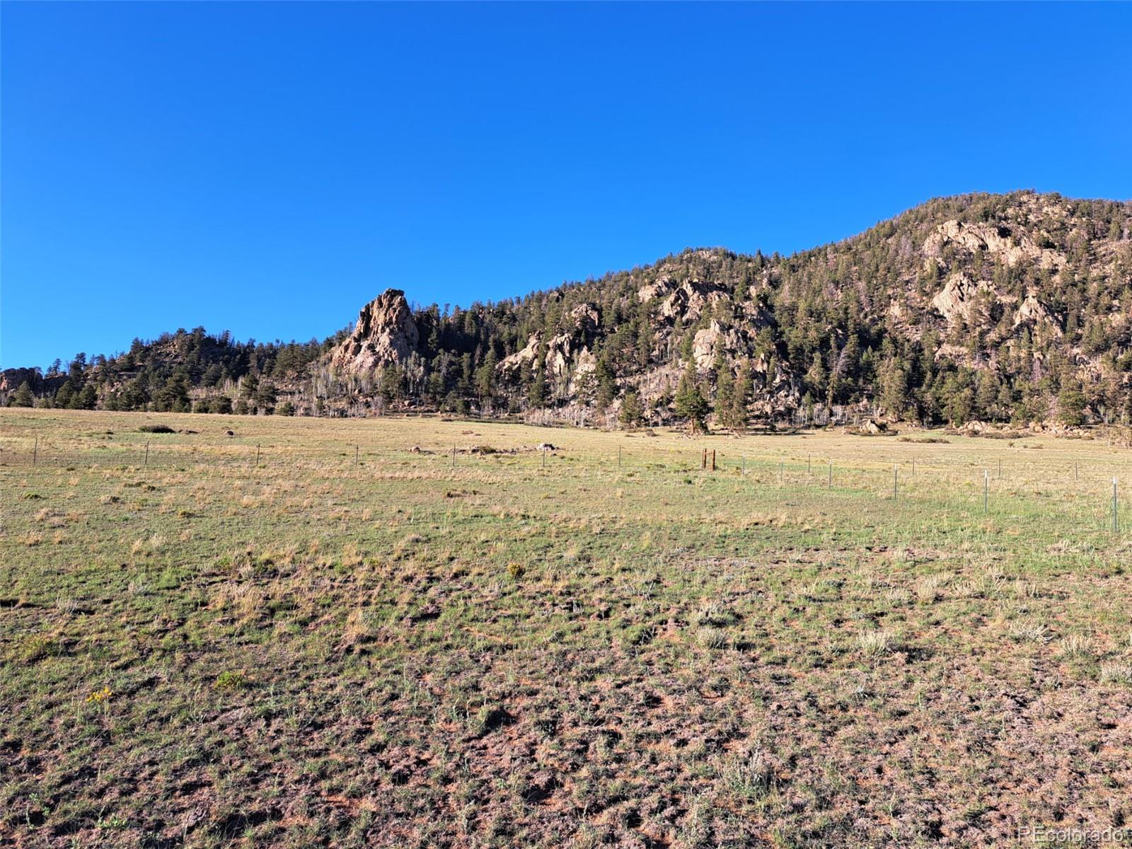 6675 Jefferson Rd, Hartsel, CO 80449