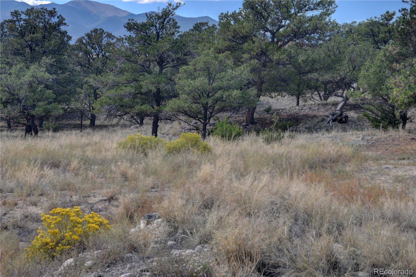 0 E Cherokee, Salida, CO 81201