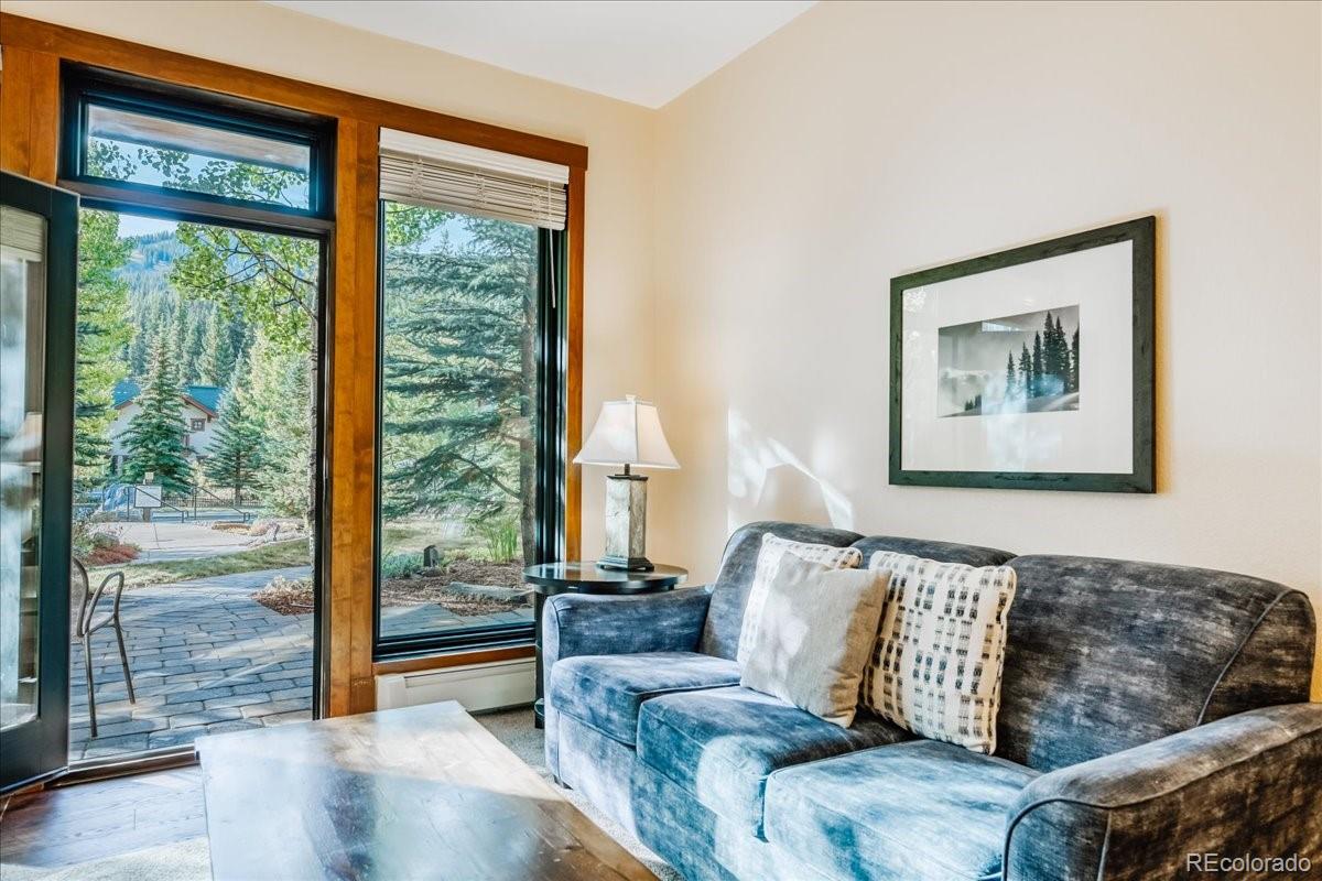 172 Beeler Pl #109, Frisco, CO 80443