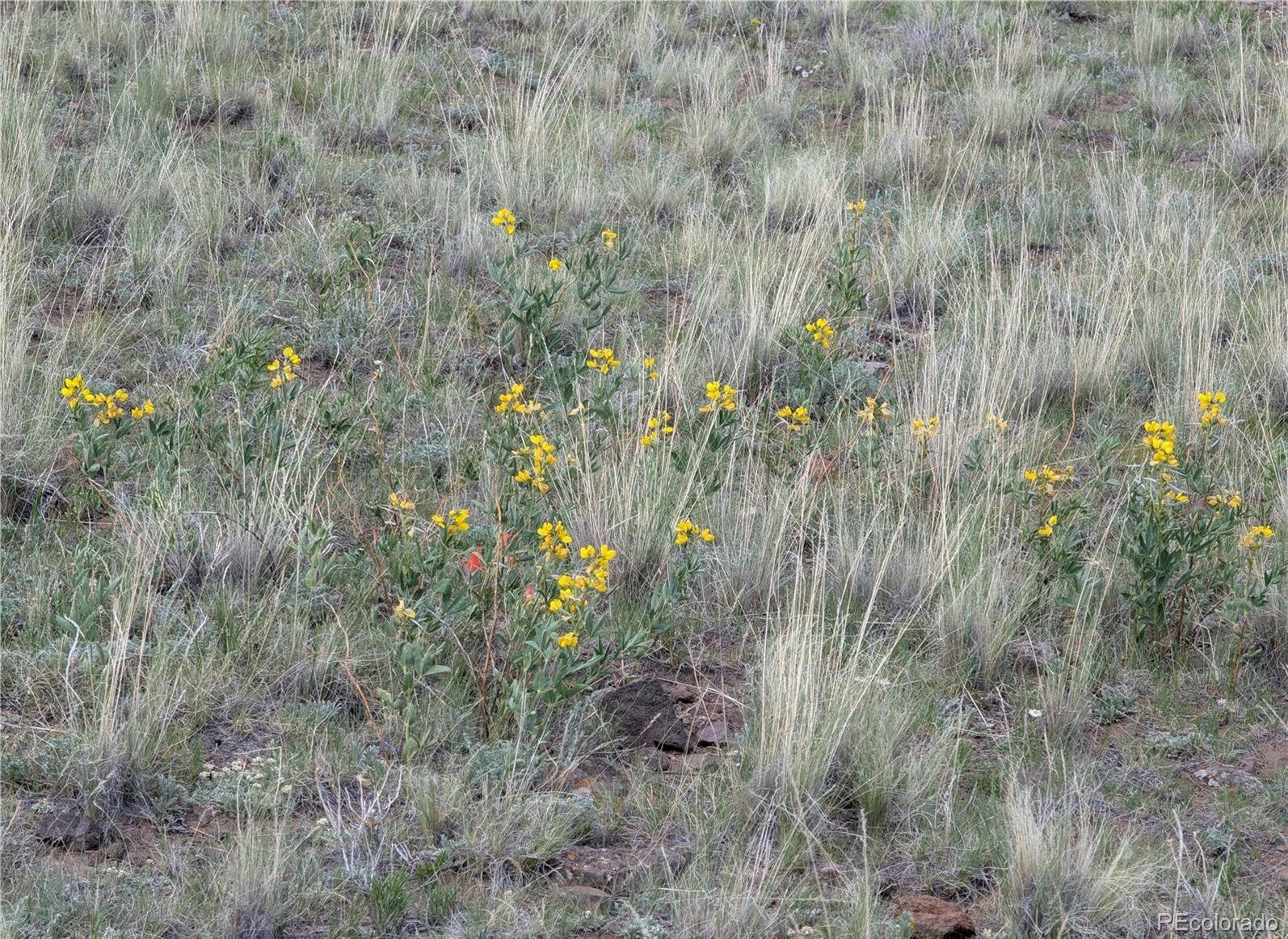 Wicaka Trl Lot 4146, Hartsel, CO 80449