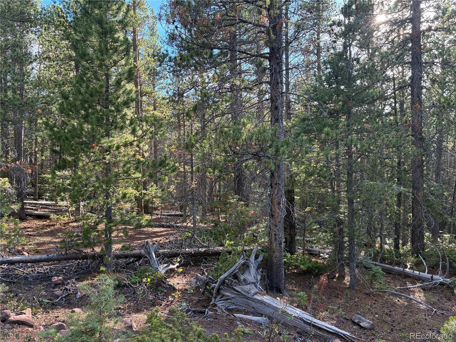 LOT 3187 Purnell Ln, Fort Garland, CO 81133