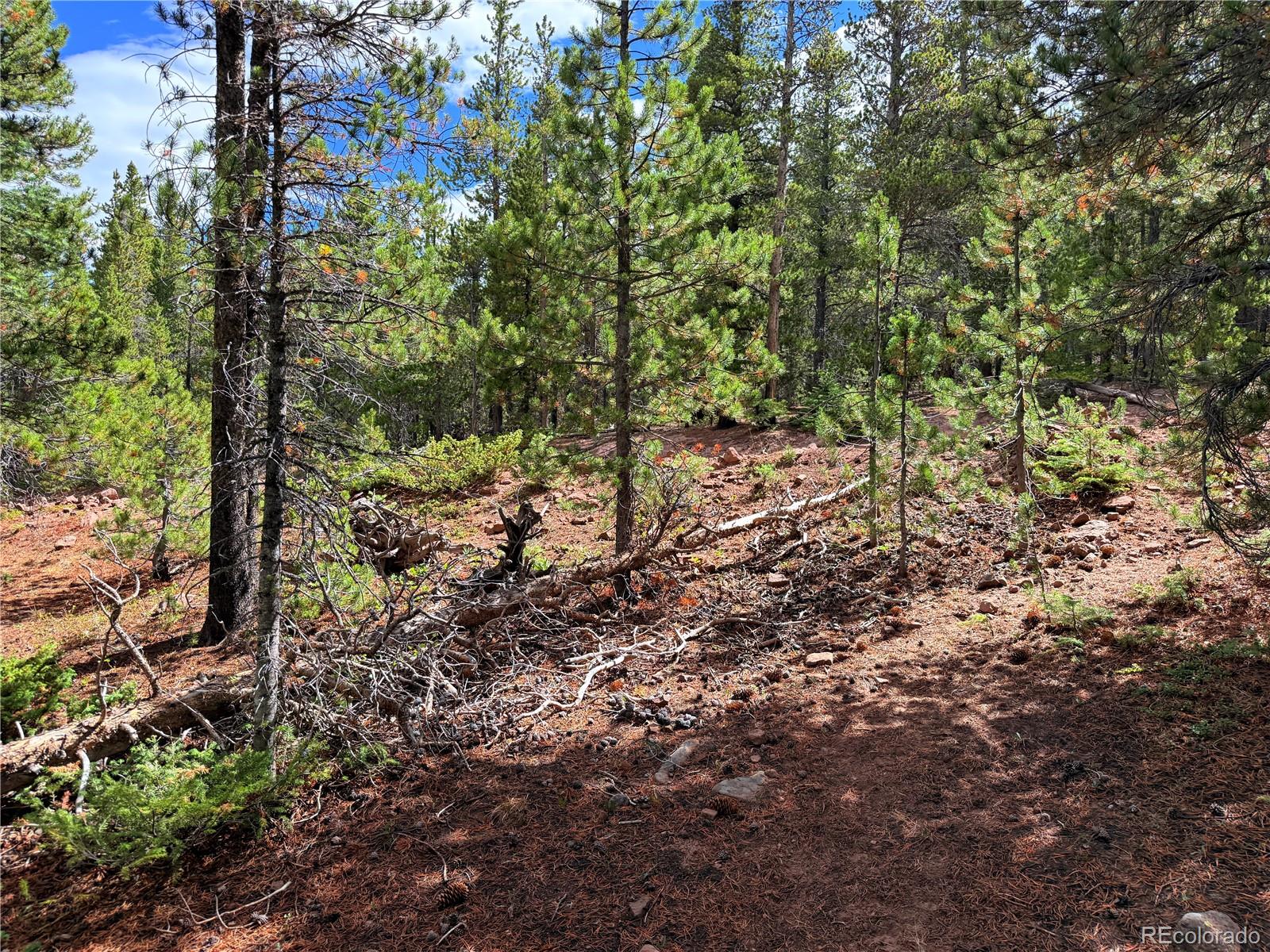 LOT 3187 Purnell Ln, Fort Garland, CO 81133
