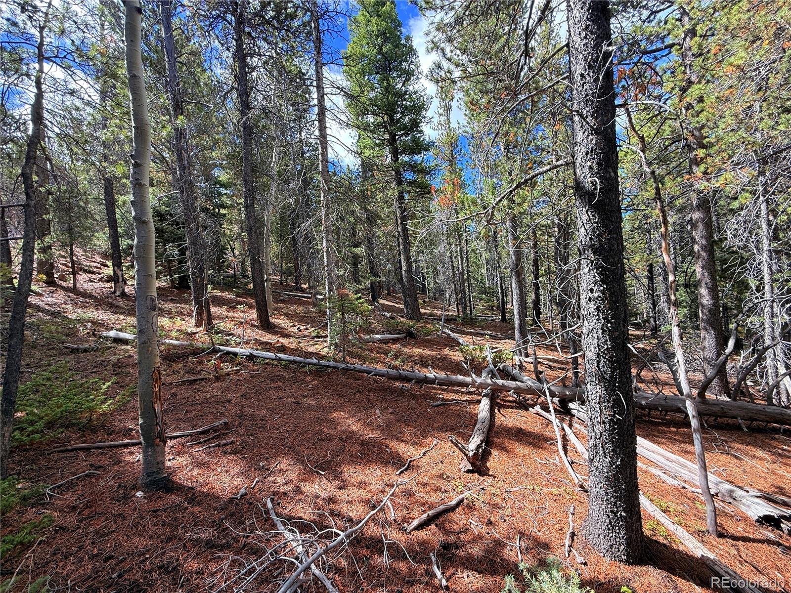LOT 3187 Purnell Ln, Fort Garland, CO 81133