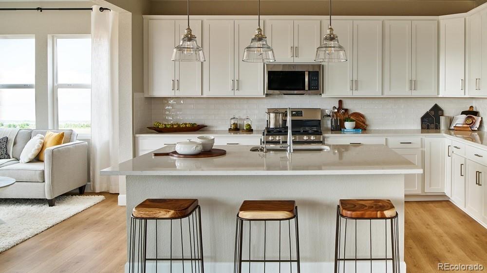 3360 Fervid St, Castle Rock, CO 80108
