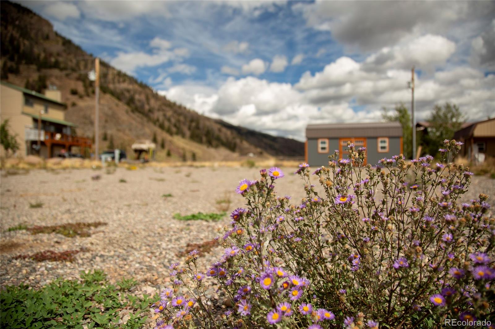 115 Trout Ct, Creede, CO 81130