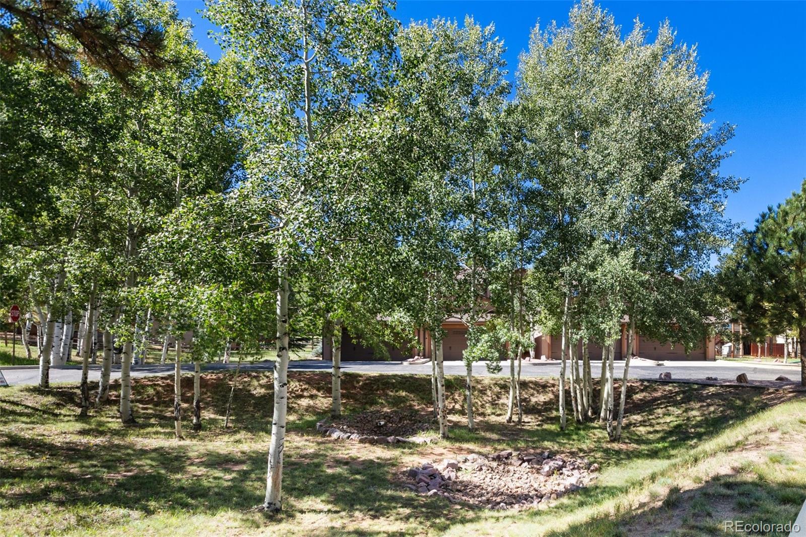 718 Misty Pines Cir, Woodland Park, CO 80863