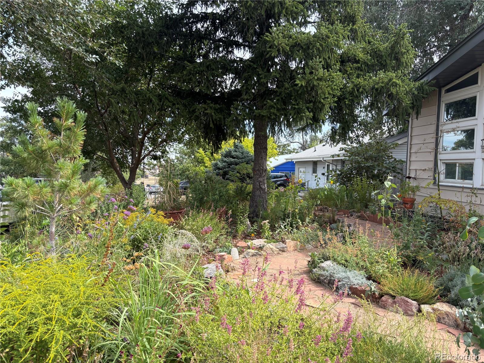 680 Bronco Rd, Denver, CO 80221