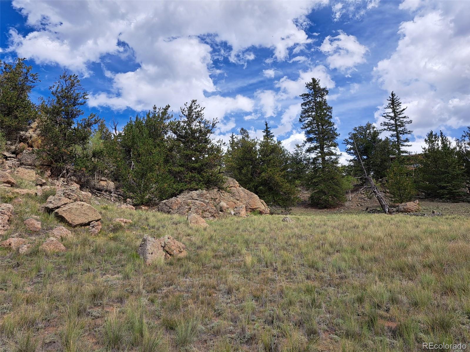 736 Stagestop Rd, Jefferson, CO 80456