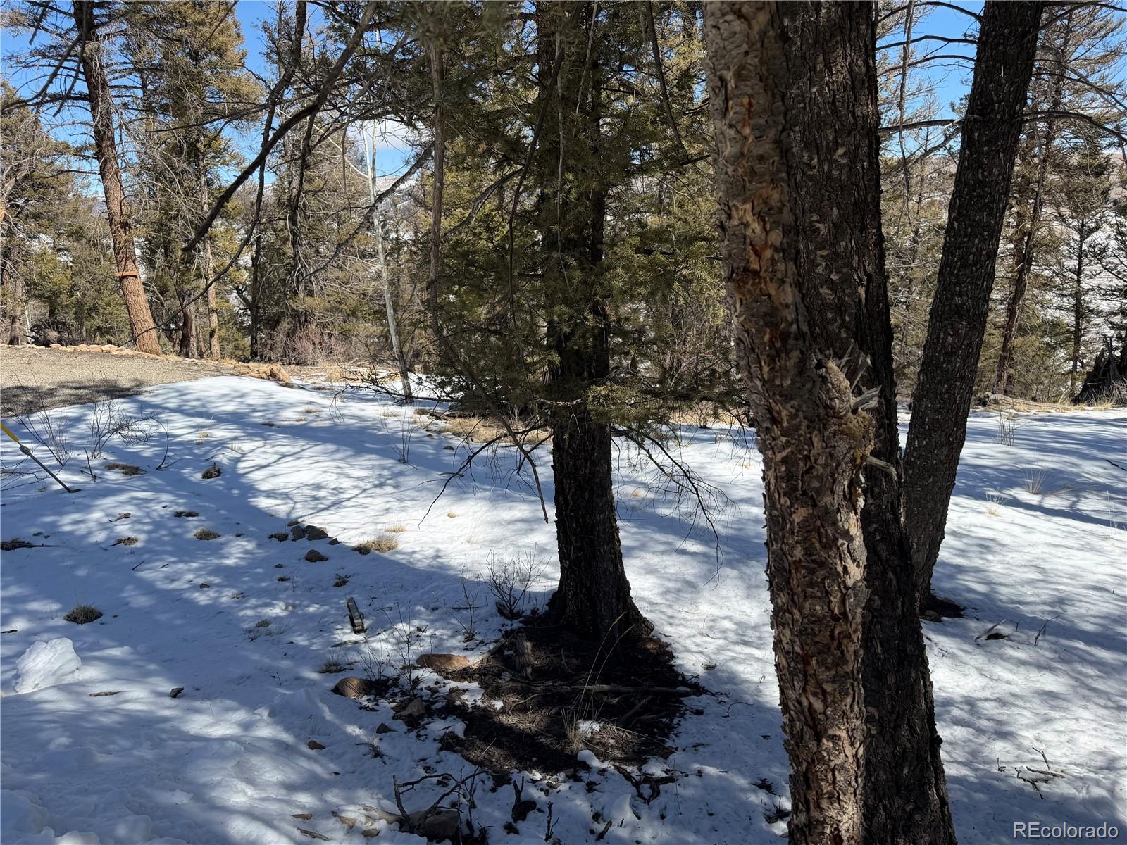 806 Middle Fork Vi, Fairplay, CO 80440