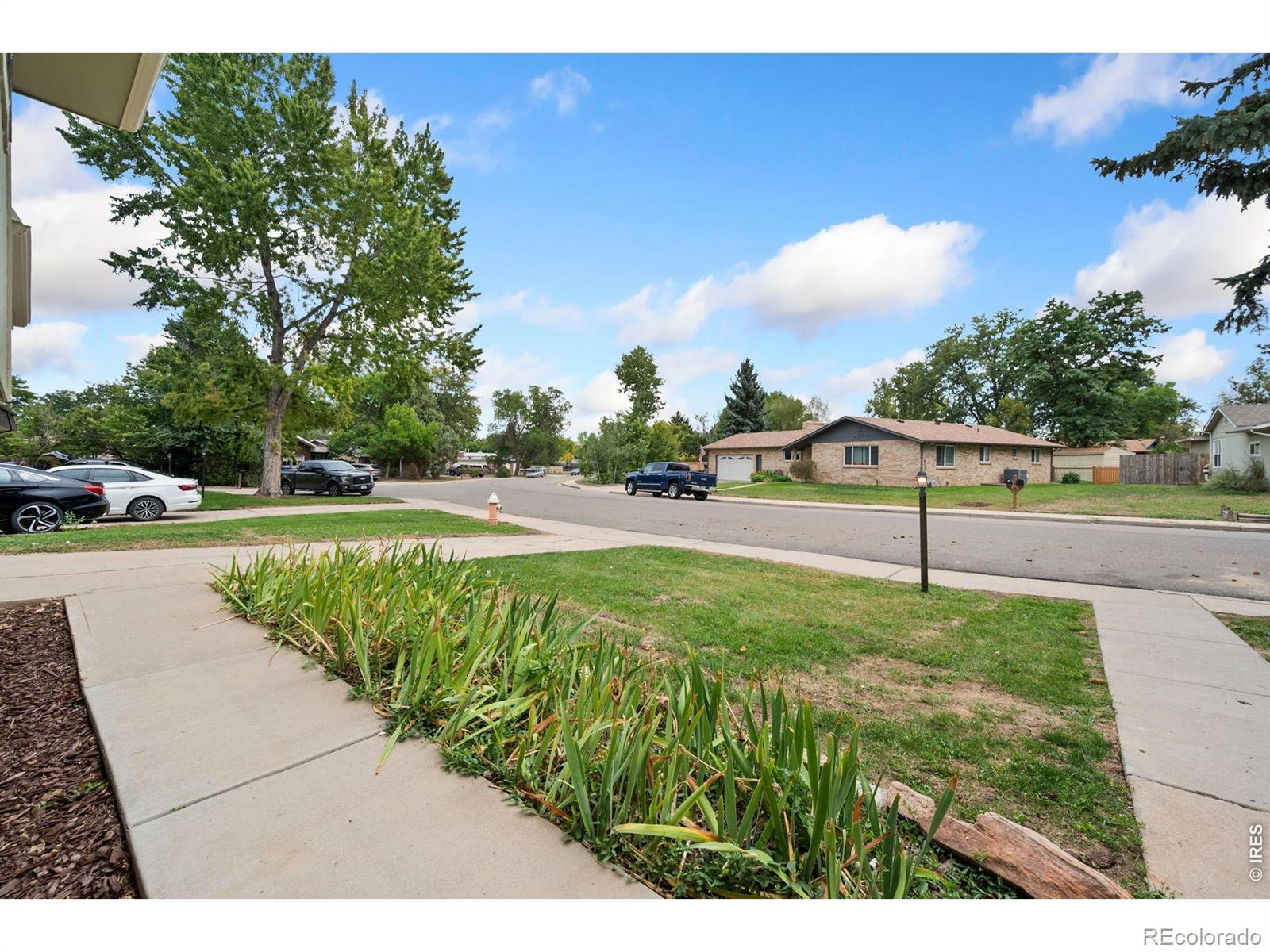 845 Nyssa Dr, Loveland, CO 80538
