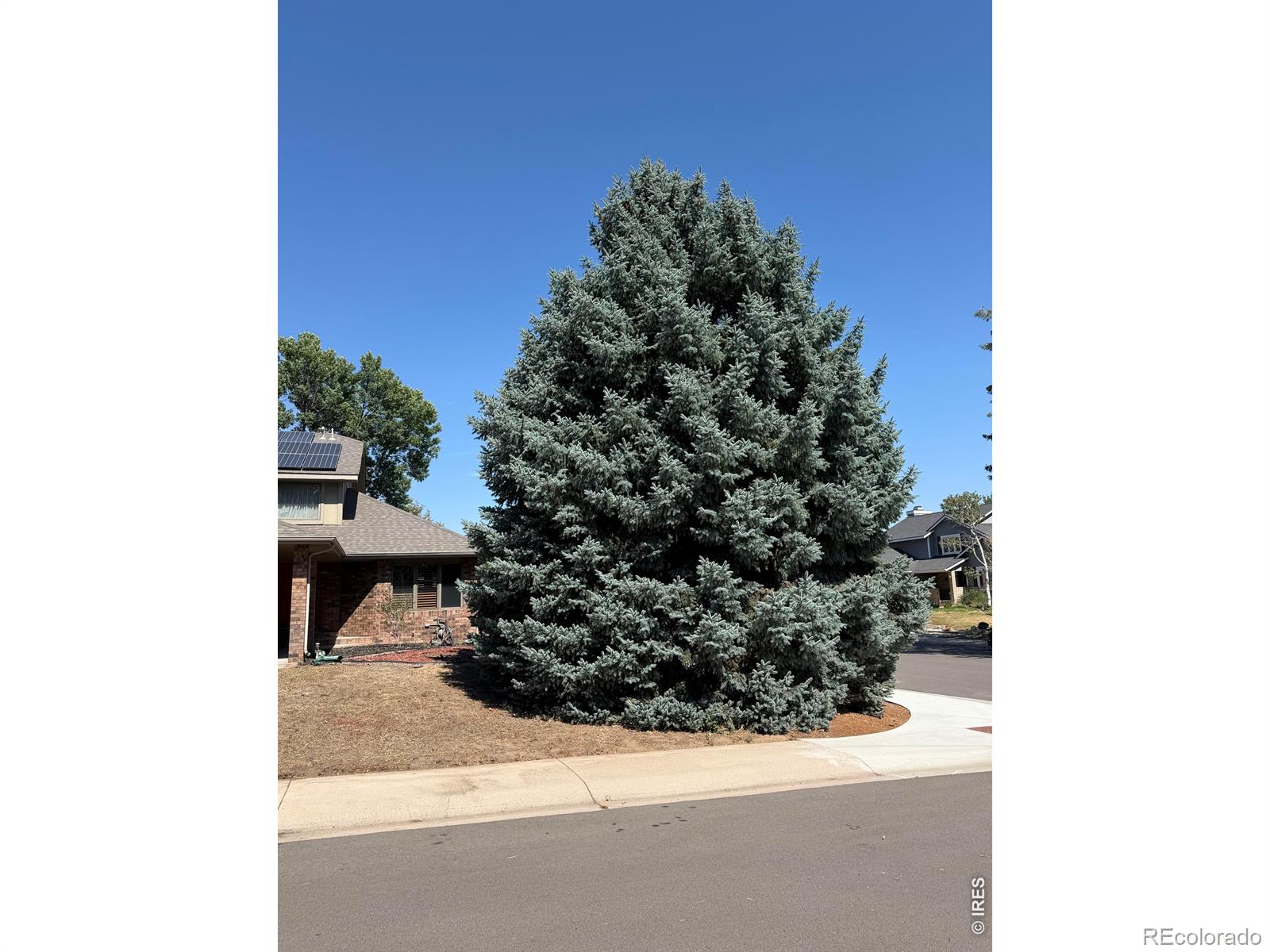 4501 23rd St, Greeley, CO 80634