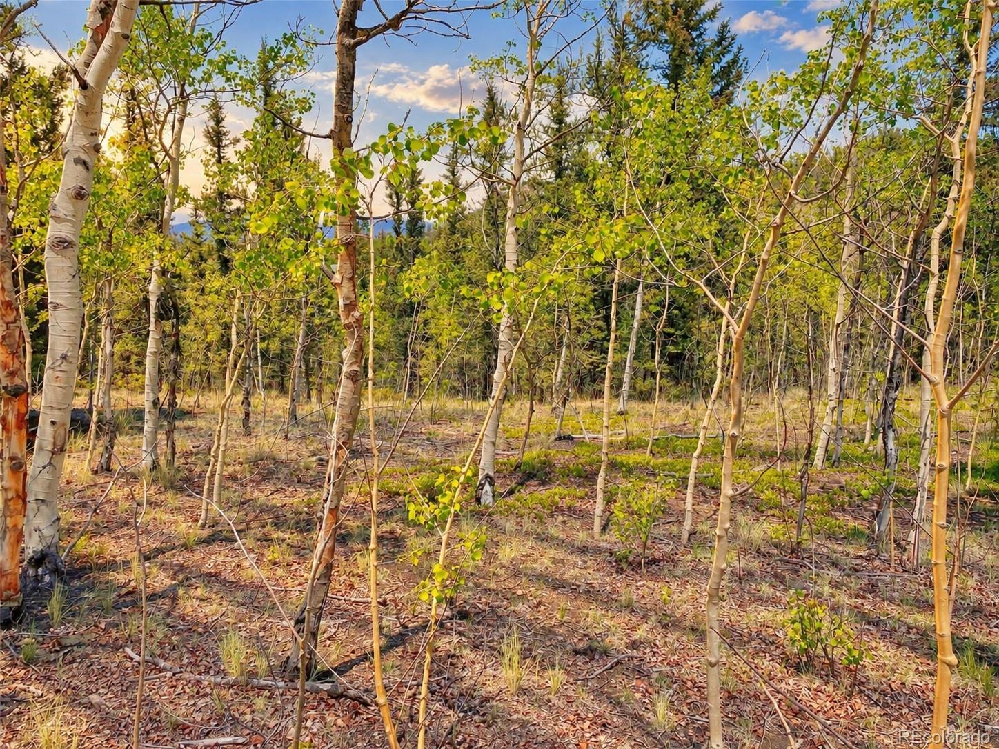 126 S Quarter Horse Rd, Como, CO 80432