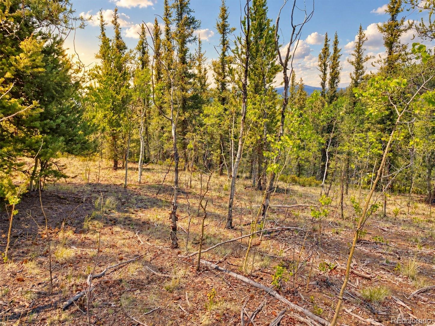 126 S Quarter Horse Rd, Como, CO 80432