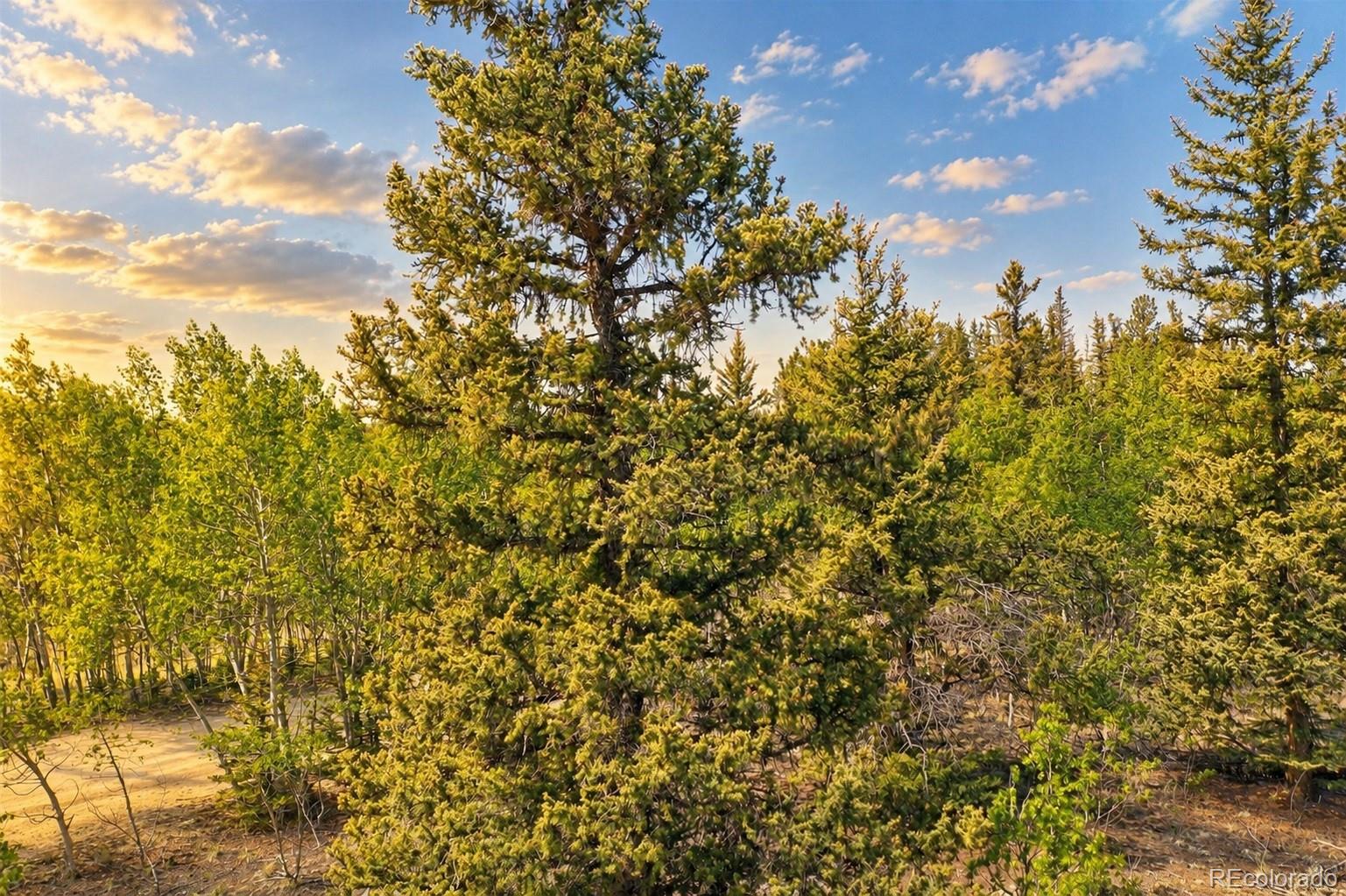 126 S Quarter Horse Rd, Como, CO 80432