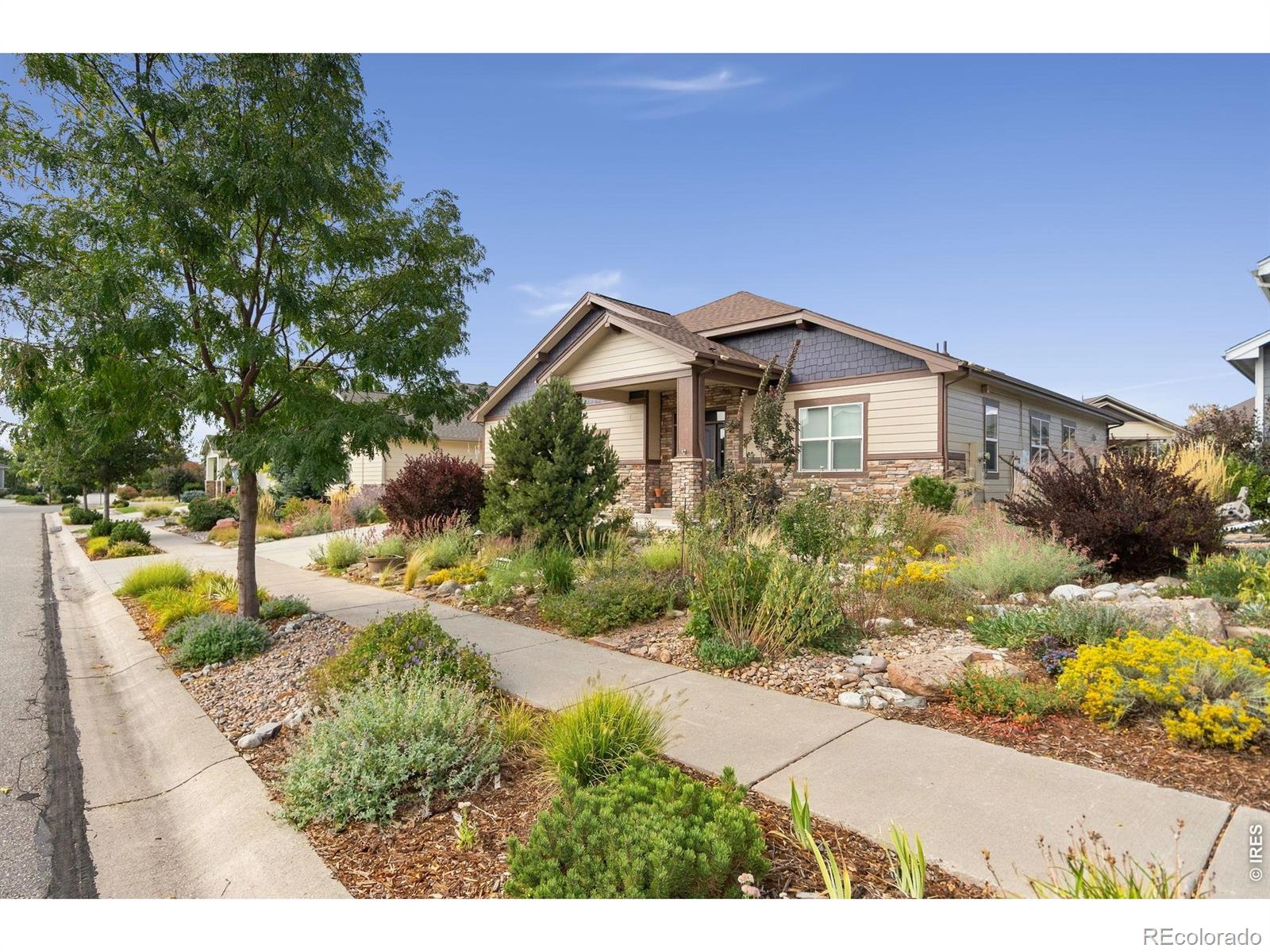 6727 Snowdon Dr, Fort Collins, CO 80526