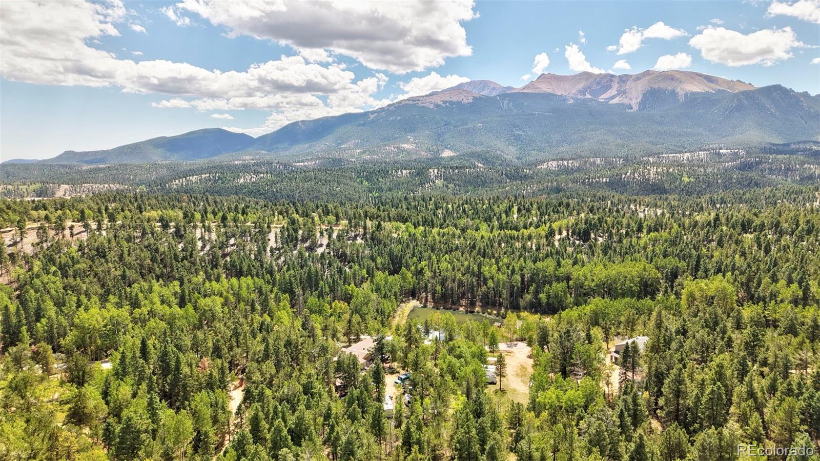 2659 Edlowe Rd, Woodland Park, CO 80863