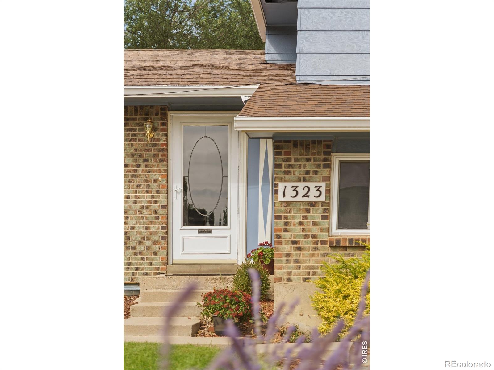 1323 S Sherman St, Longmont, CO 80501
