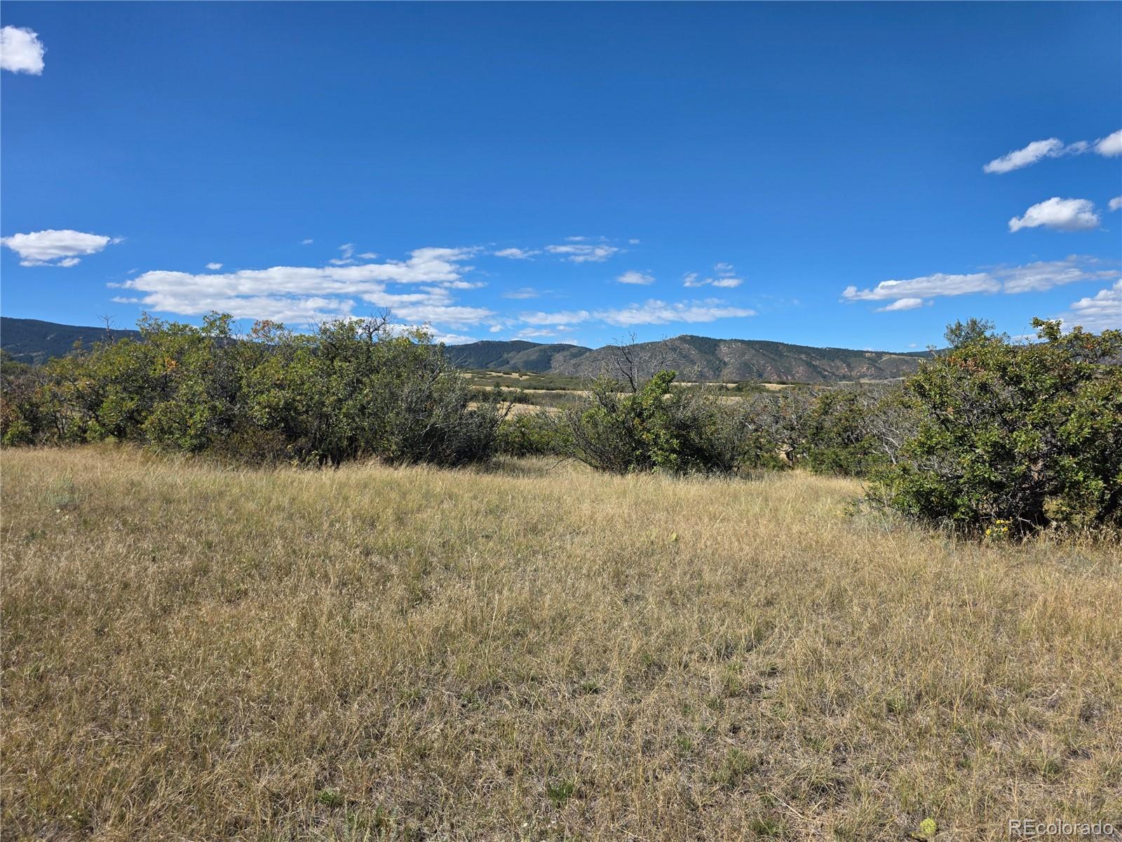5230 Tall Horse Trl, Sedalia, CO 80135