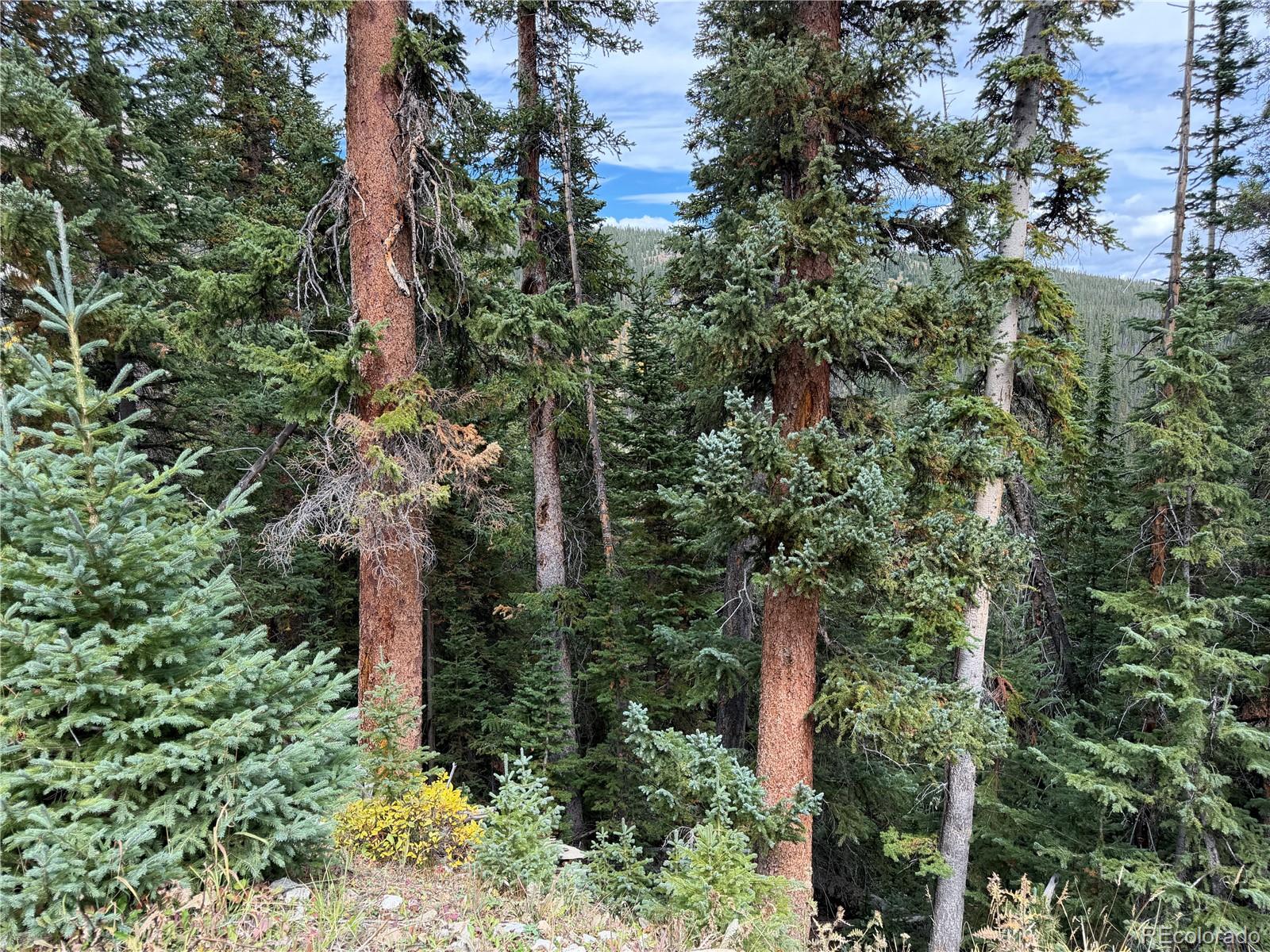 0605 Cr 805 Lot 4, Breckenridge, CO 80424