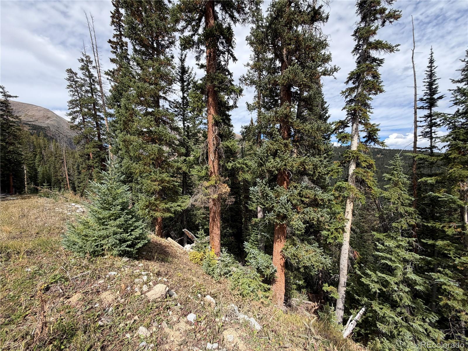 0605 Cr 805 Lot 4, Breckenridge, CO 80424