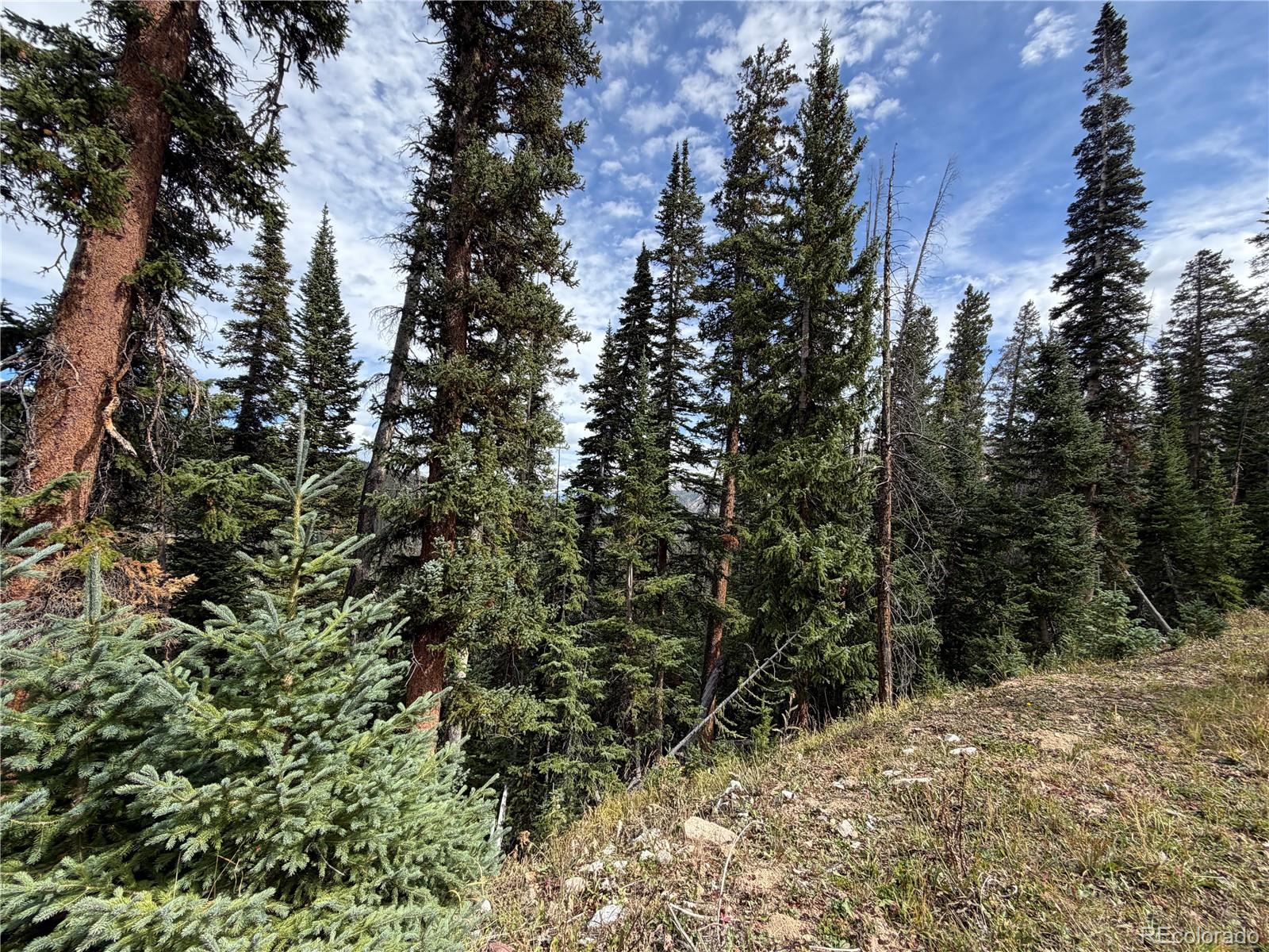 0605 Cr 805 Lot 4, Breckenridge, CO 80424