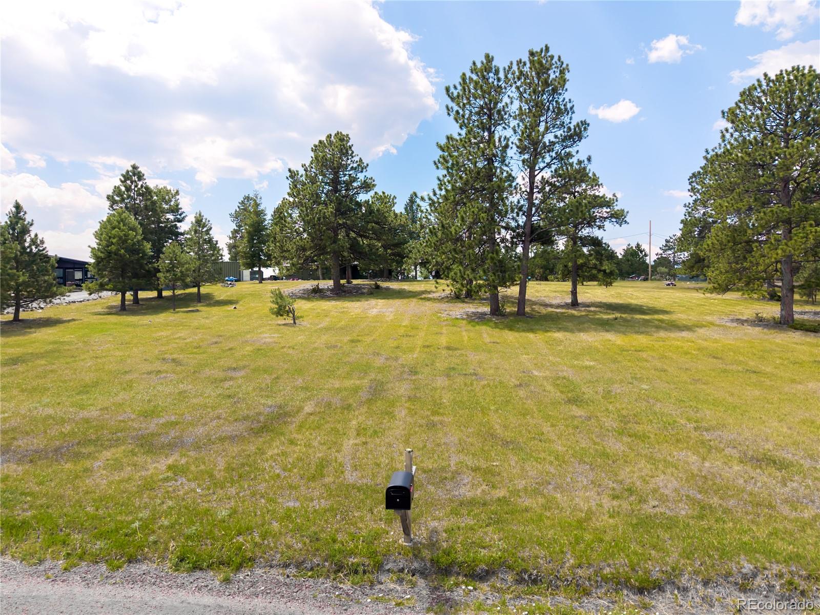 29624 Paint Brush Dr, Evergreen, CO 80439