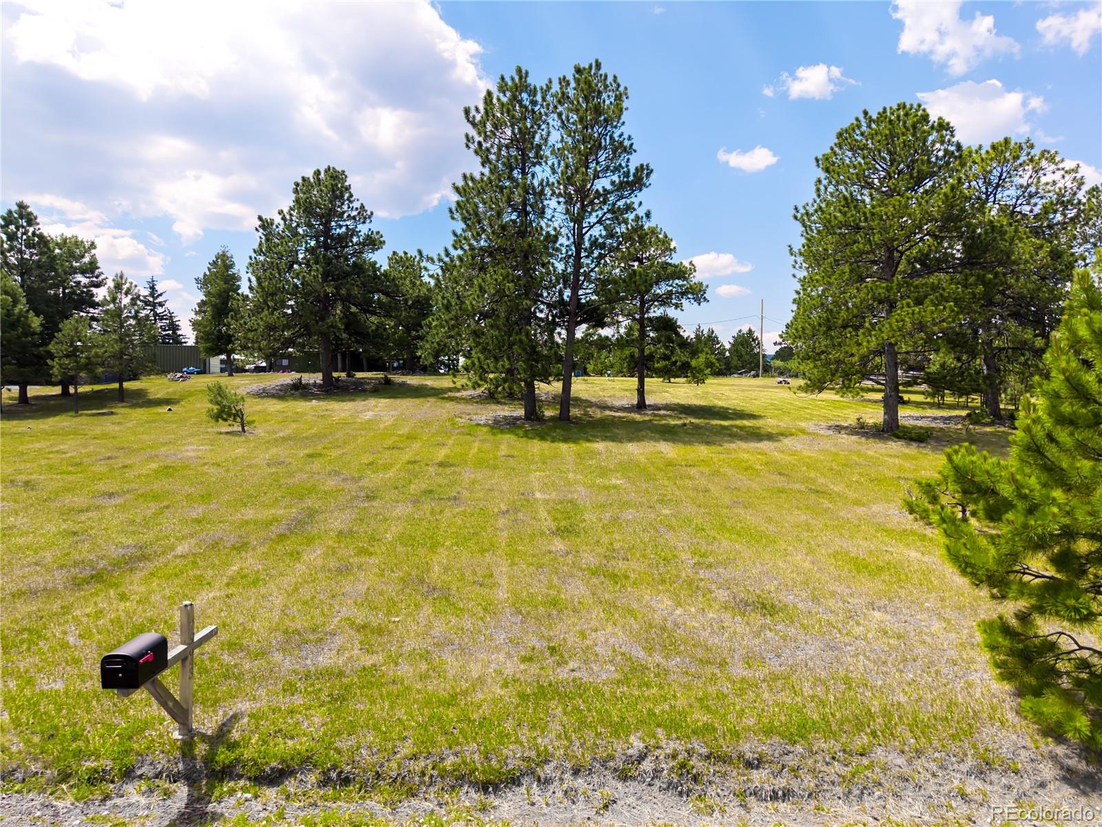 29624 Paint Brush Dr, Evergreen, CO 80439