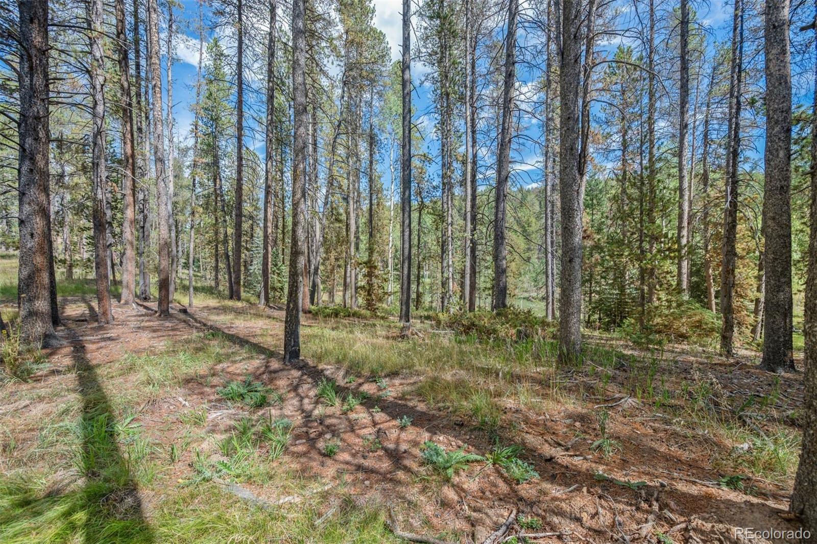 001 Lot 12 Indian Springs Rd, Conifer, CO 80433