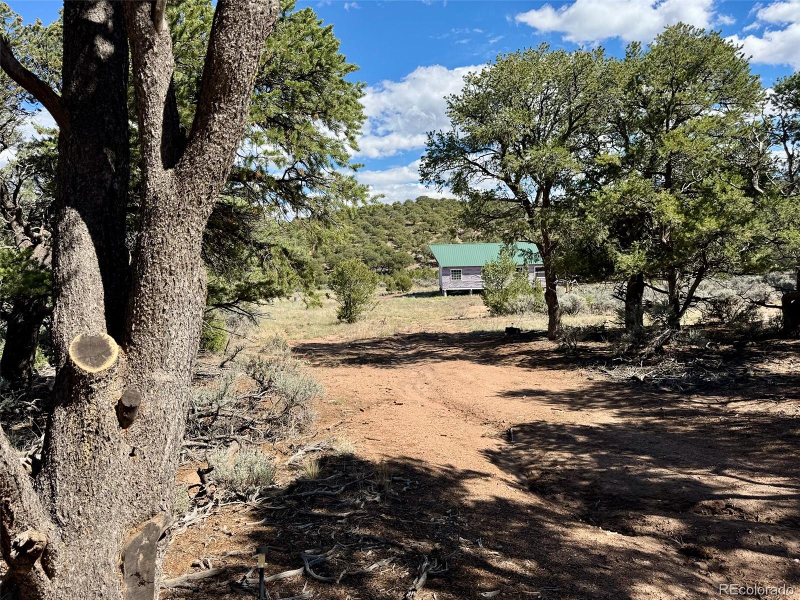 7302 Tiernan Rd, Fort Garland, CO 81133