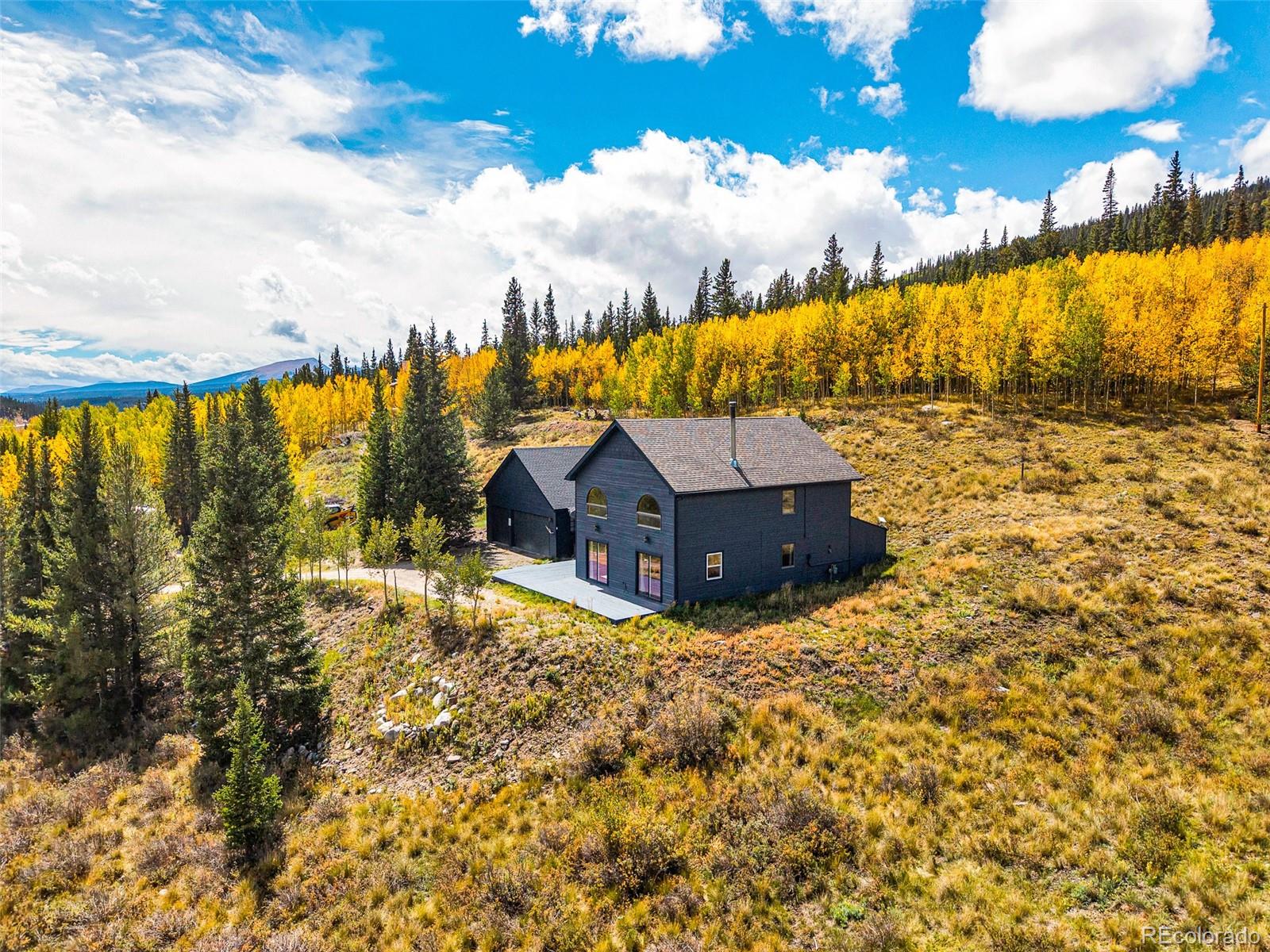 1881 River Dr, Alma, CO 80420