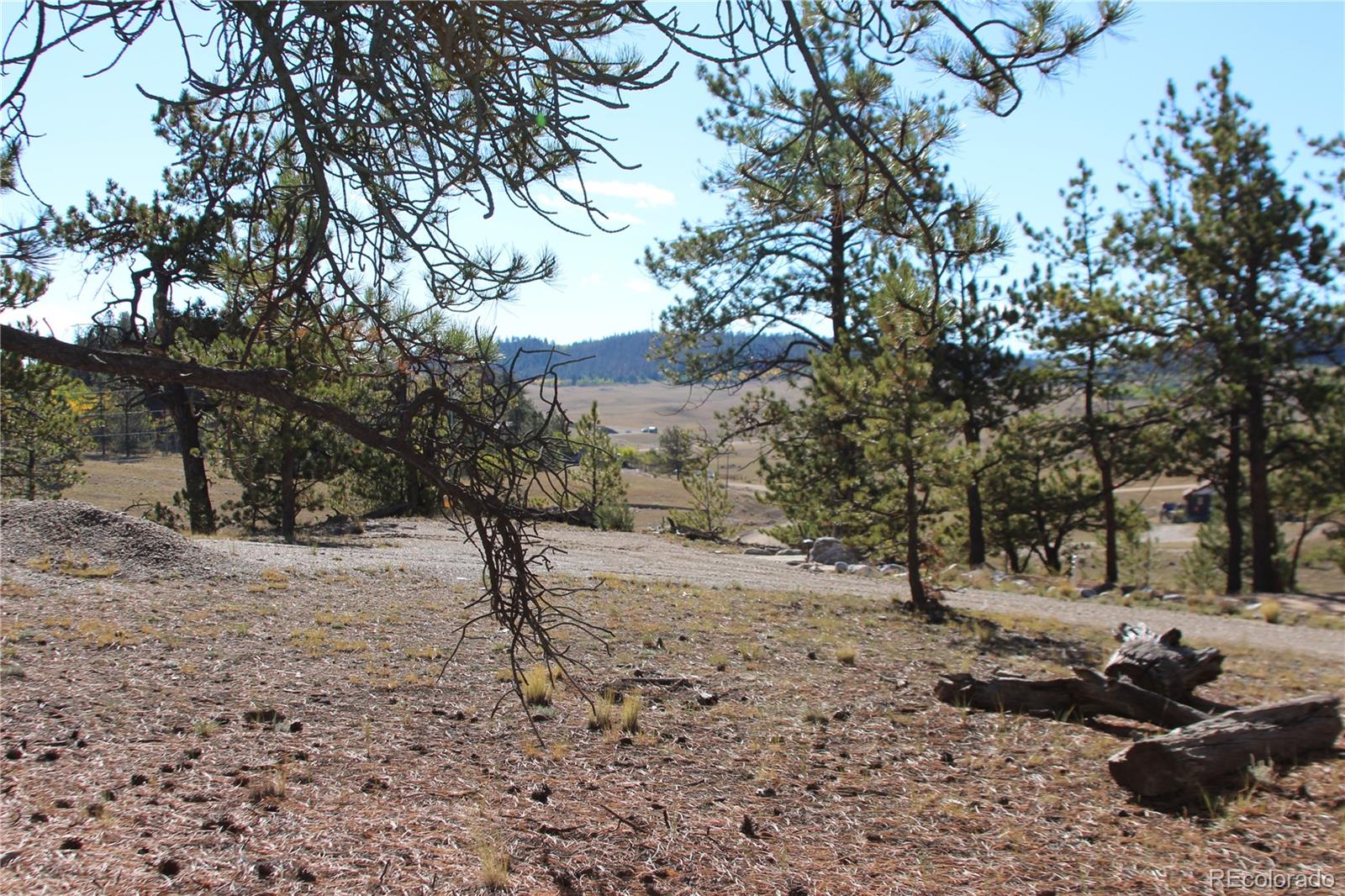 2721 Ranch Rd, Hartsel, CO 80449