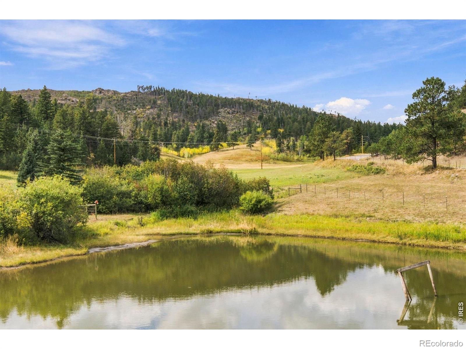 14133 Rist Canyon Rd, Bellvue, CO 80512