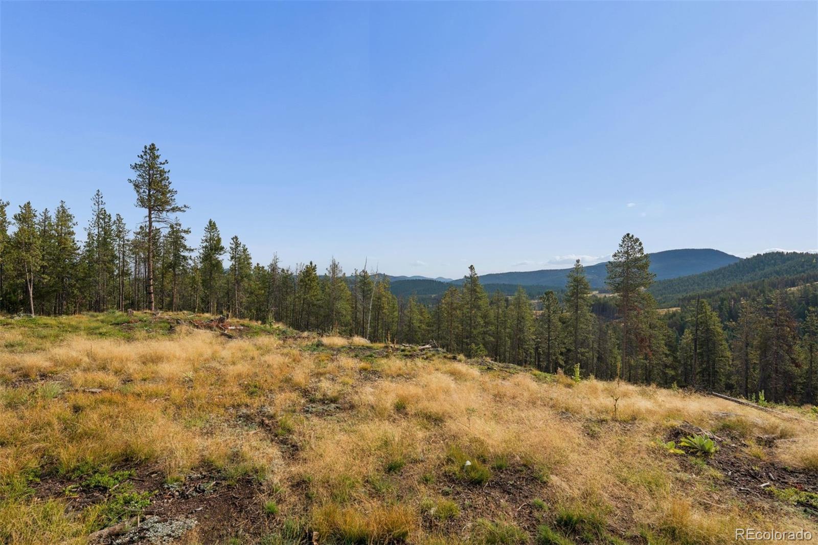 8570 S Warhawk Rd, Conifer, CO 80433