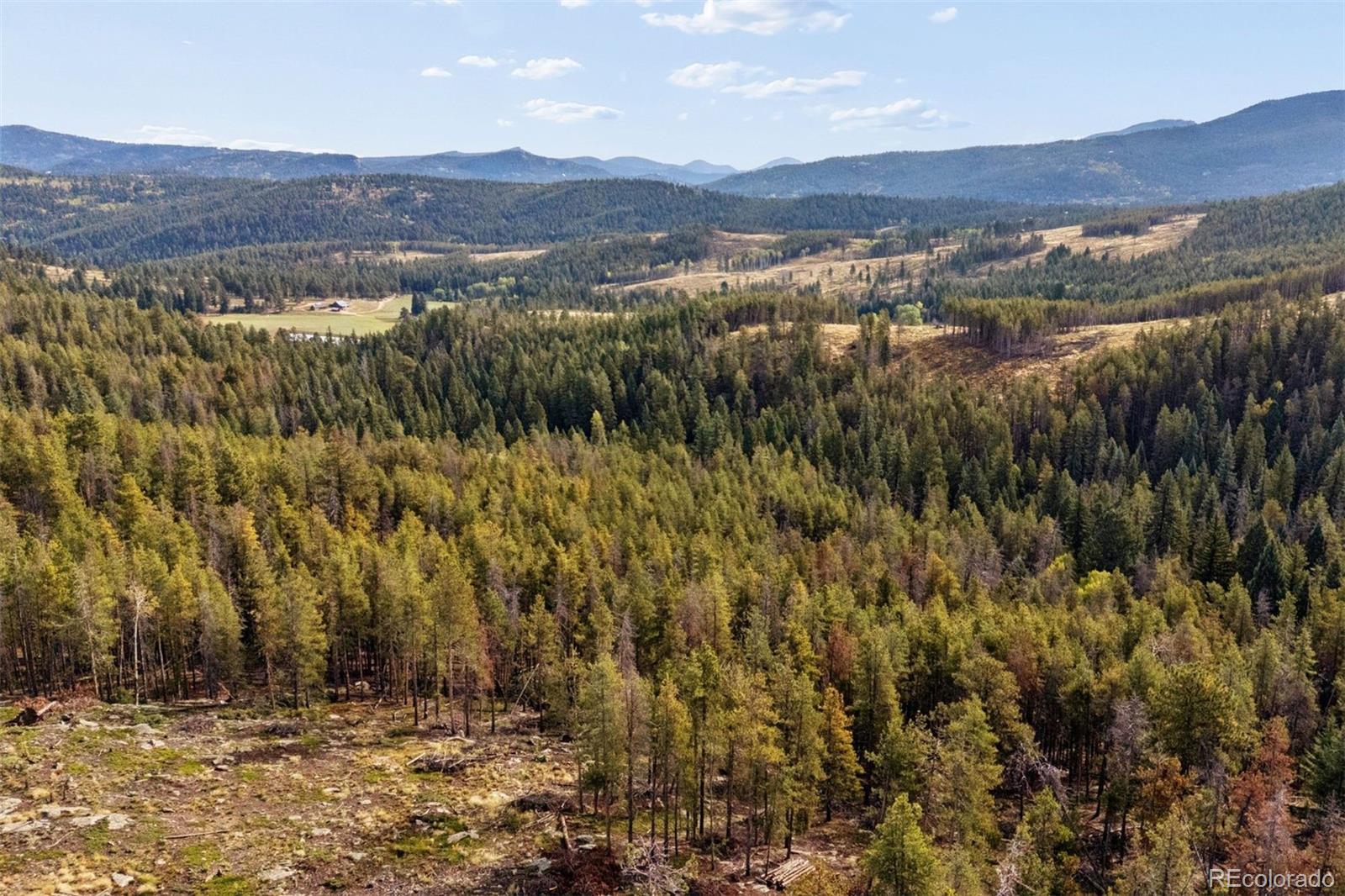 8570 S Warhawk Rd, Conifer, CO 80433