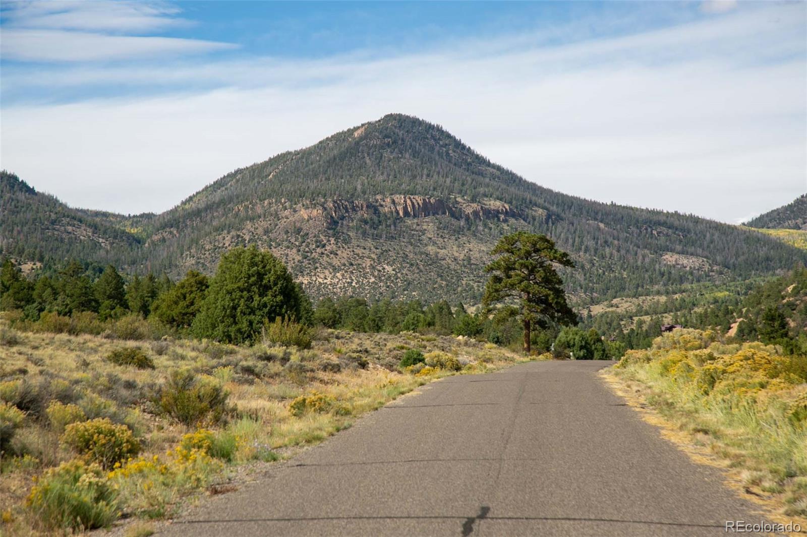 963 Bear Creek Cir, South Fork, CO 81154
