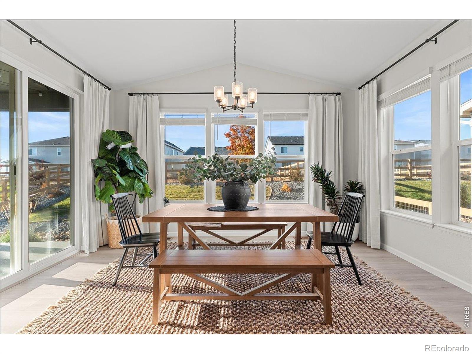 946 Rustling St, Windsor, CO 80550