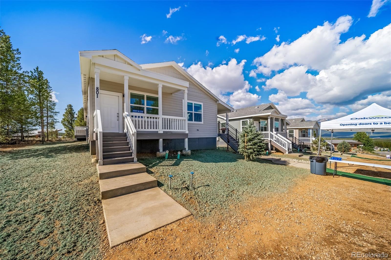712 W 3rd St, Leadville, CO 80461