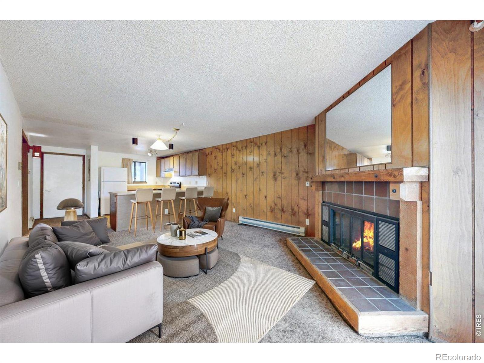 1730 Raven Ave #1, Estes Park, CO 80517