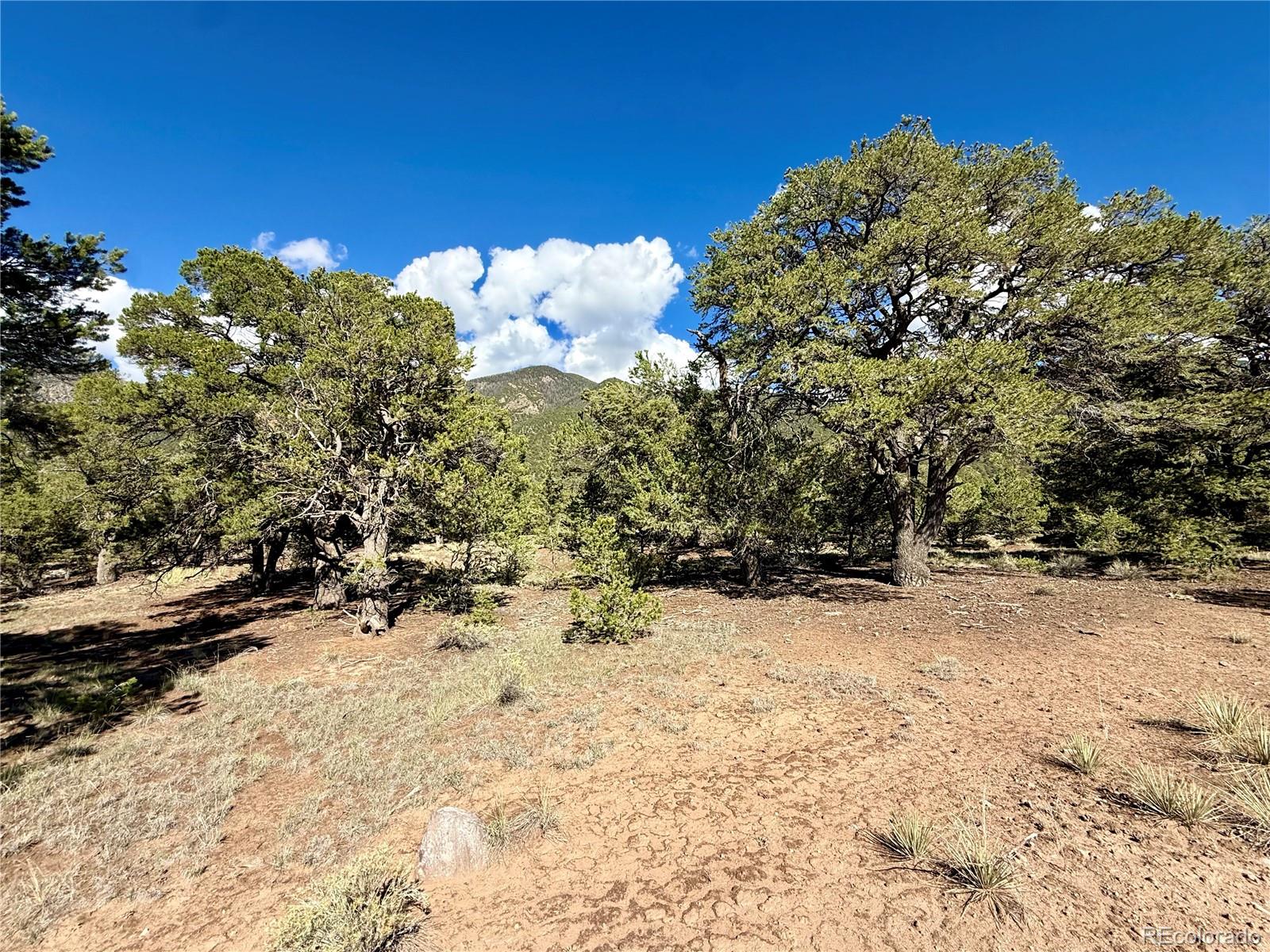 4280 Camino Baca Grande, Crestone, CO 81131