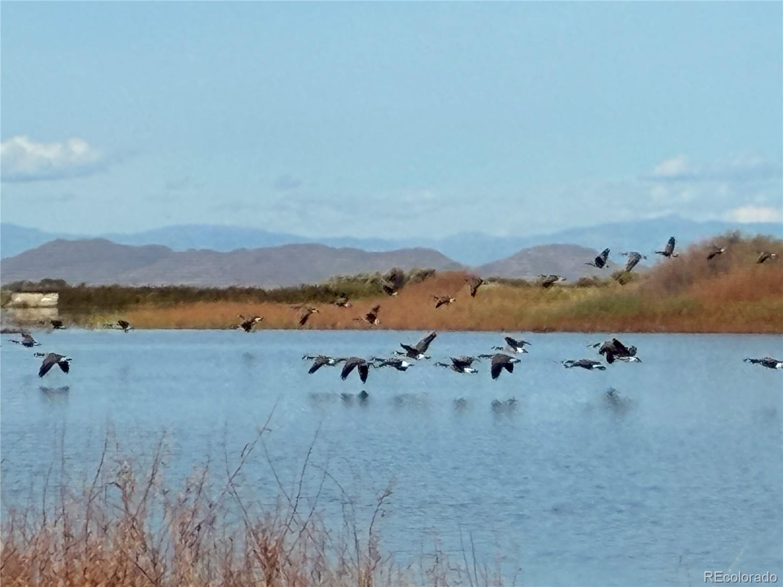 14454 Co 159, San Luis, CO 81152