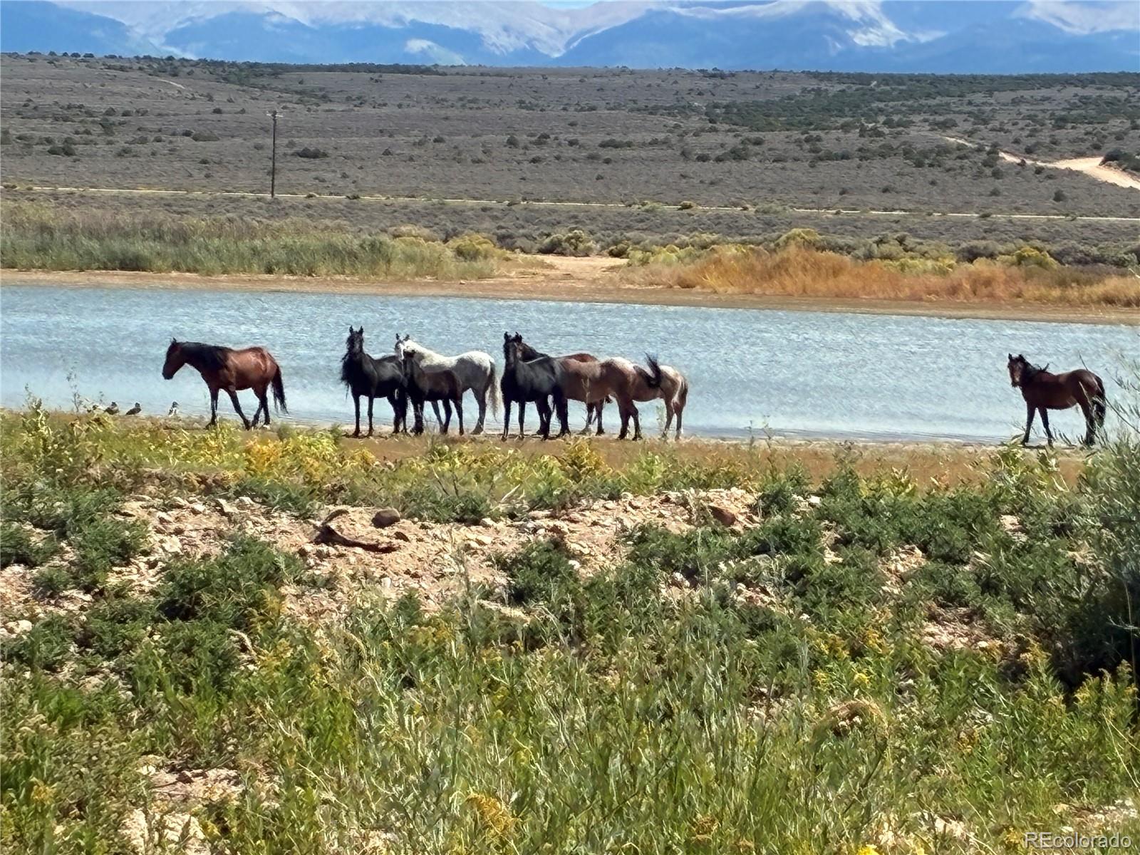 14454 Co 159, San Luis, CO 81152
