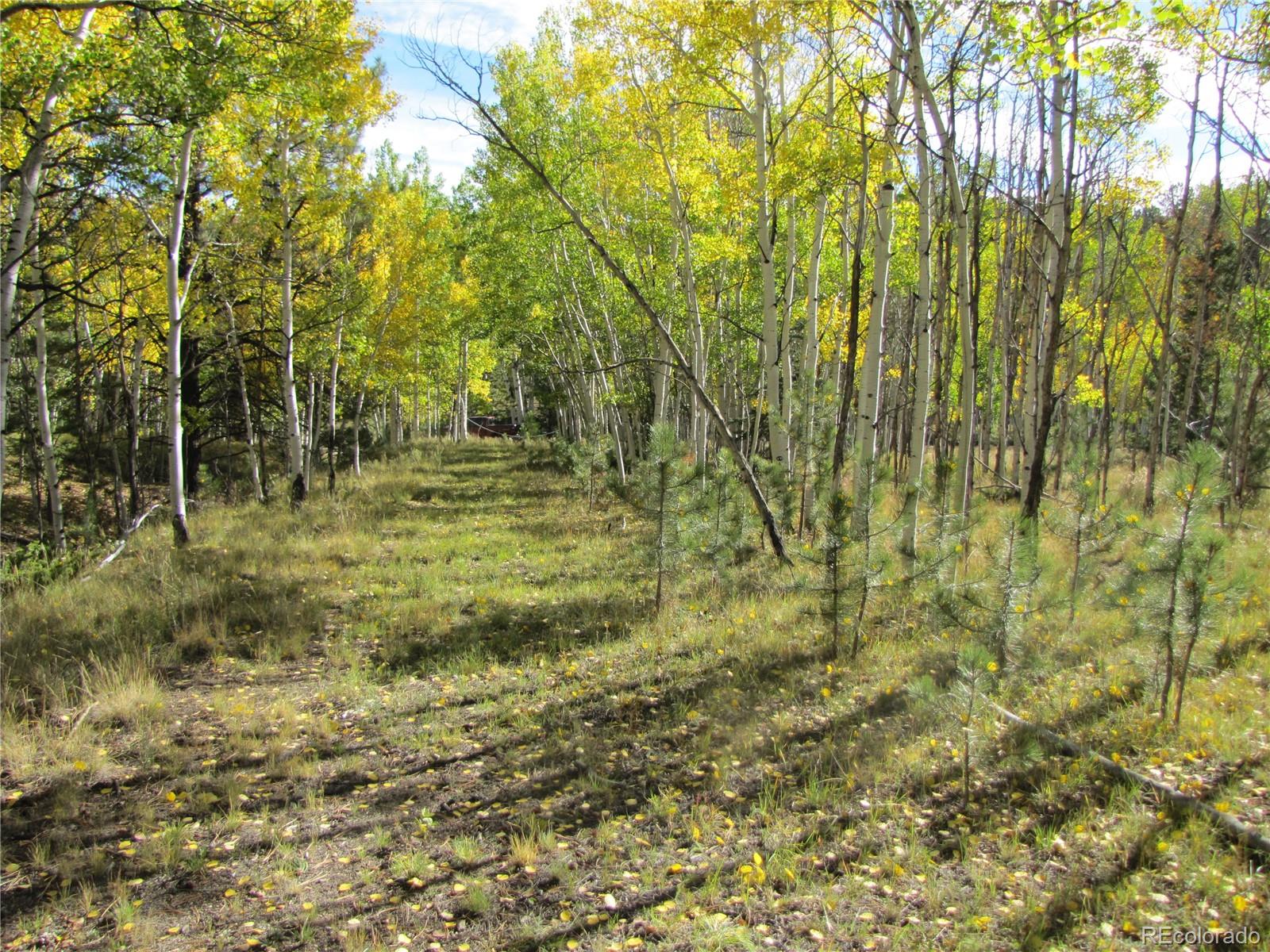 Lot 700 Campfire Rd Lot 700, Hartsel, CO 80449
