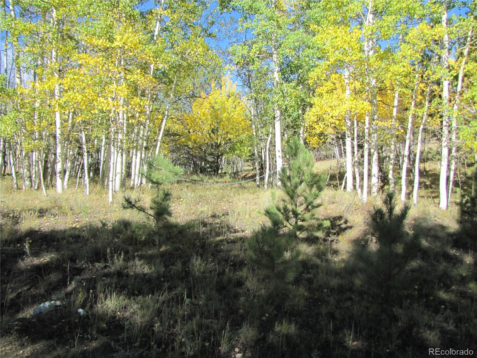 Lot 700 Campfire Rd Lot 700, Hartsel, CO 80449