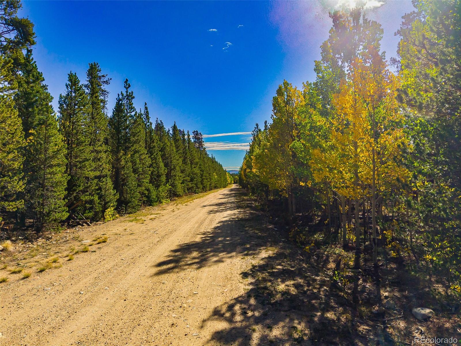 660 Rockwell Renshaw Rd Lot 5, Fairplay, CO 80440