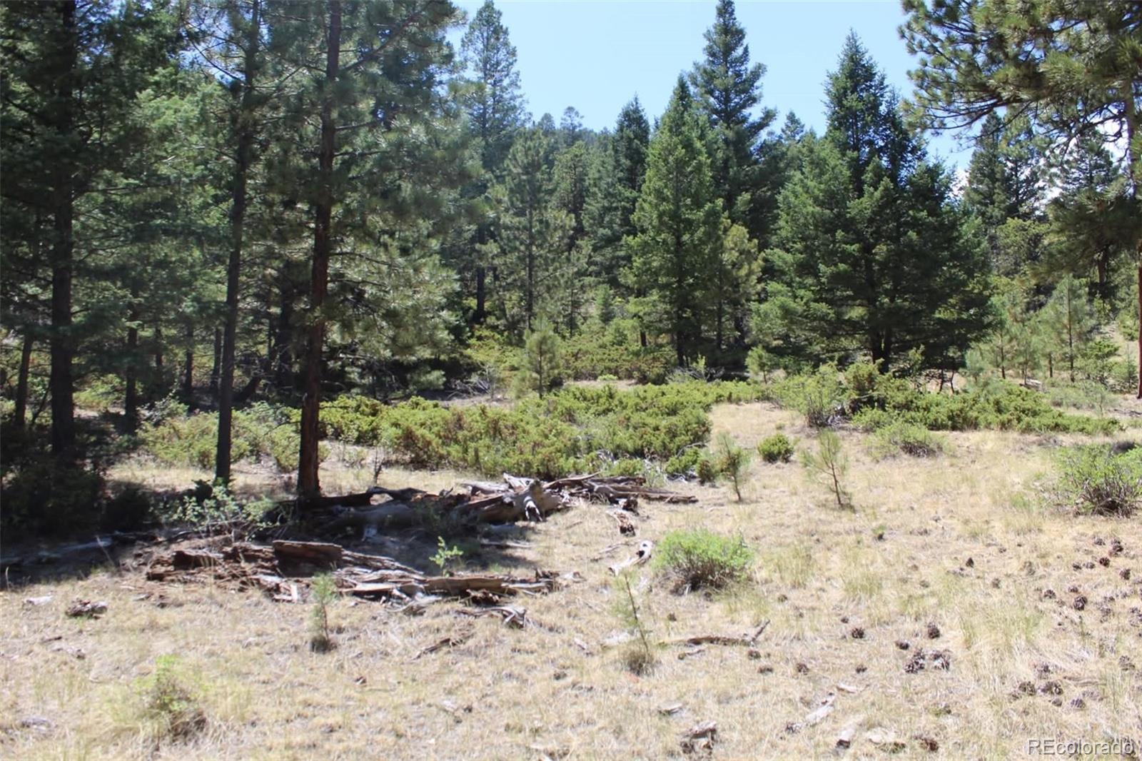 Tallahassee Ln, Canon City, CO 81212