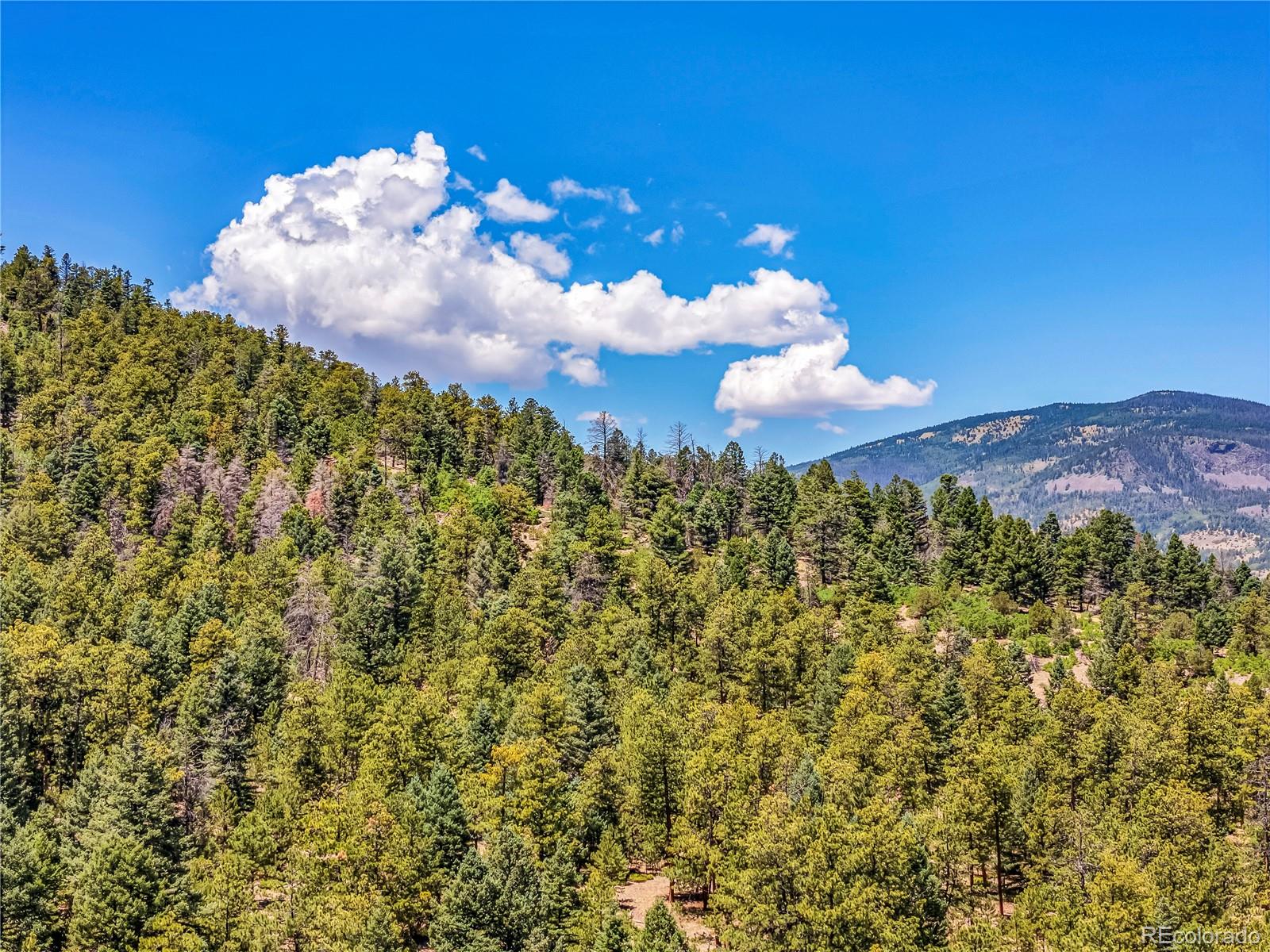Tallahassee Ln, Canon City, CO 81212