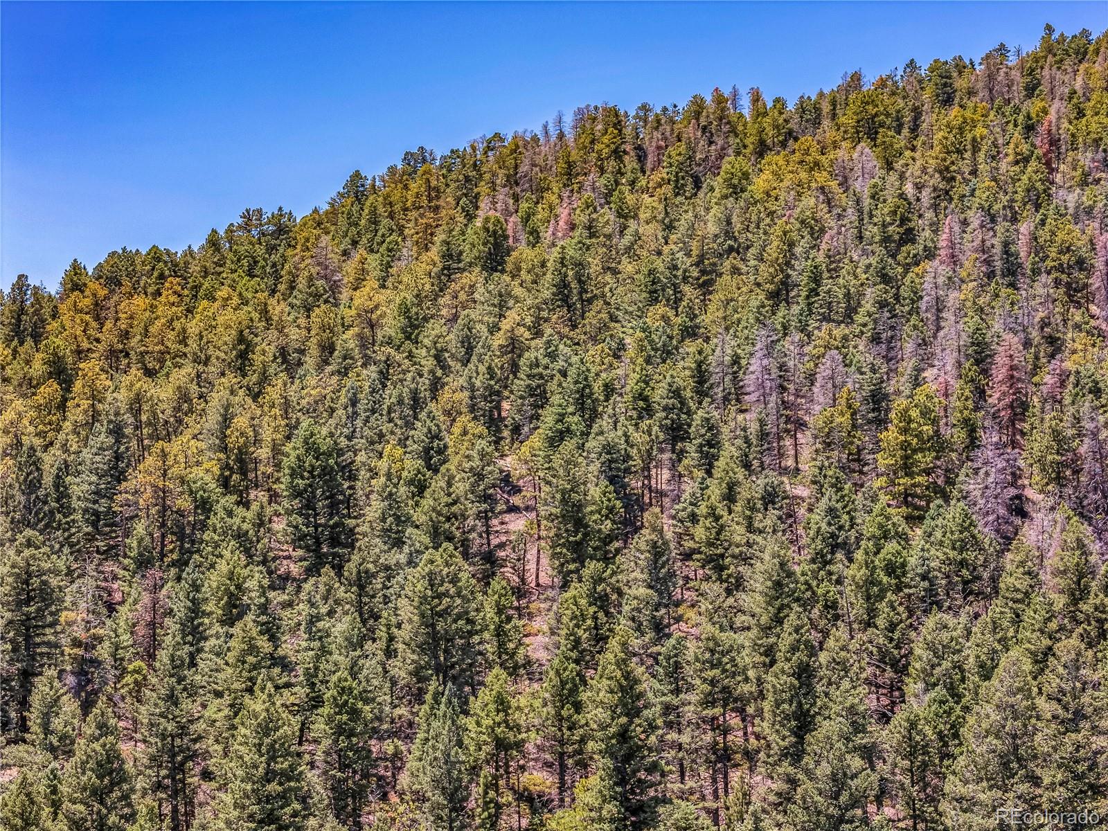 Tallahassee Ln, Canon City, CO 81212