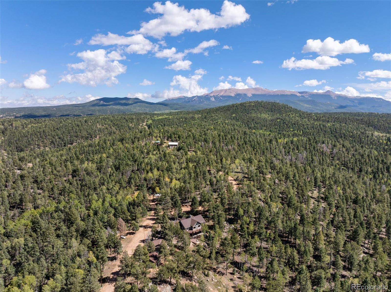 516 Saguache Dr, Florissant, CO 80816